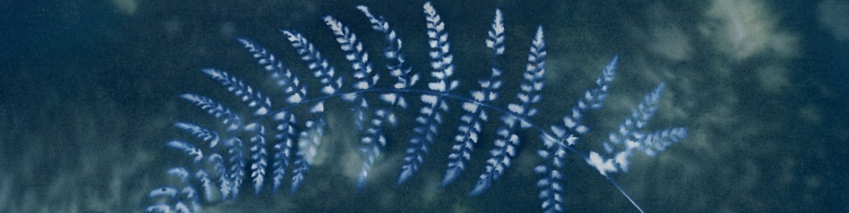 RPS Annual Members Exhibition&nbsp;2023